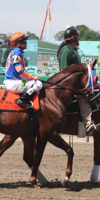 Caixa Eletronica, American racehorse, dies at age 9